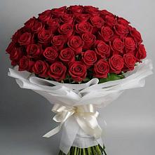 Букет 101 Красная роза Блэк Мэджик в Дунай