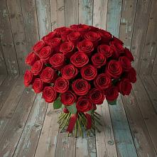 Букет 55 Красных роз Фридом #REPLACE_PRED# Дунай