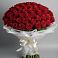 Букет 101 Красная роза Блэк Мэджик в Дунай