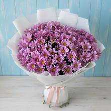Букет цветов из:  Хризантемы в Дунай