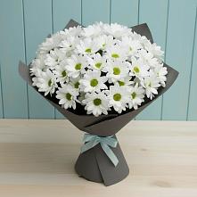 Букет цветов из:  Хризантемы #REPLACE_PRED# Дунай