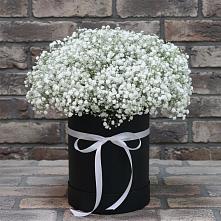 Цветочная композиция из Гипсофила в шляпной коробке #REPLACE_PRED# Дунай