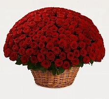 Премиум букет из: Розы в Дунай