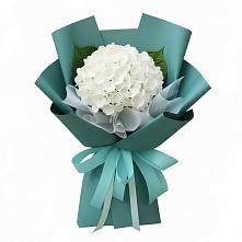 Букет цветов из:  Гортензия #REPLACE_PRED# Дунай